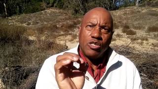 The Renaissance Project