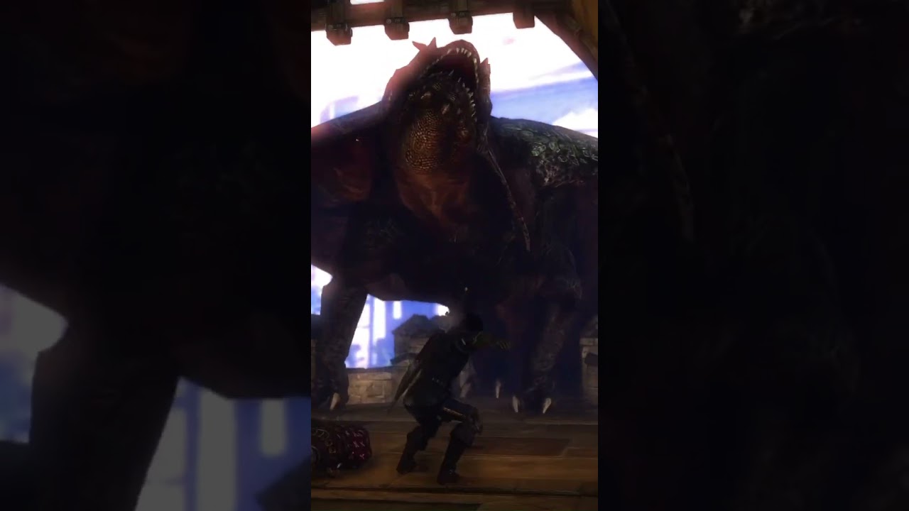 Huh interesting did not think dragons would be in the Witcher