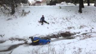 More cookie sheet sledding in the pasture
