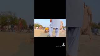 Han Pahlawan Vs Araf Peahlwan Ilyani