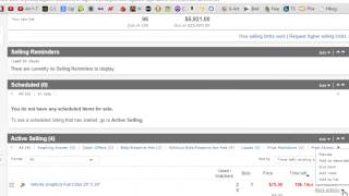 End Ebay Auction  Cancel auction