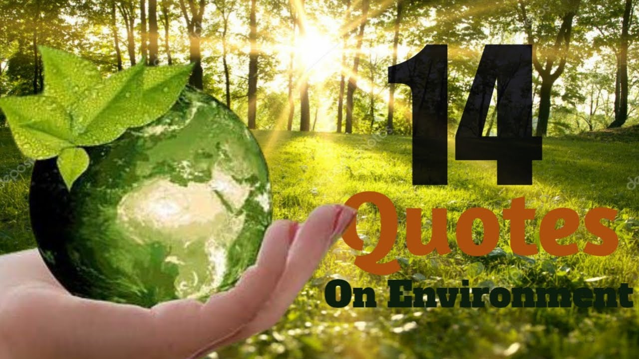 🌍14 best Quotes about Environment and Nature🌱 | World Environment Day