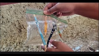 Unbreakable Ziploc