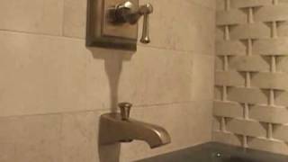 Ultimate Entertaining Home - Boys Bathroom