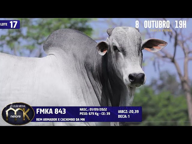 LOTE 17   FMKA 843