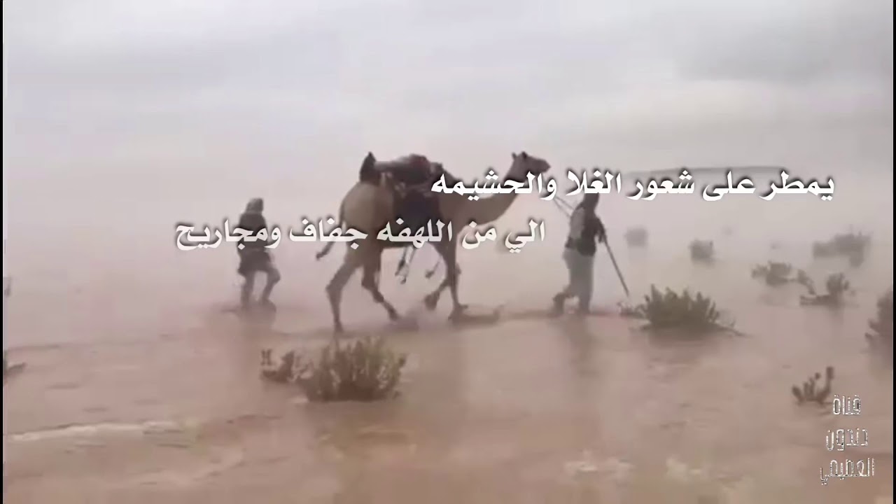 شيلة جعل مدات الليالي كريمه تنفيذ ومونتاج دندون العصيمي