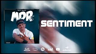Wizy Wozo - Sentiment Mdr 3