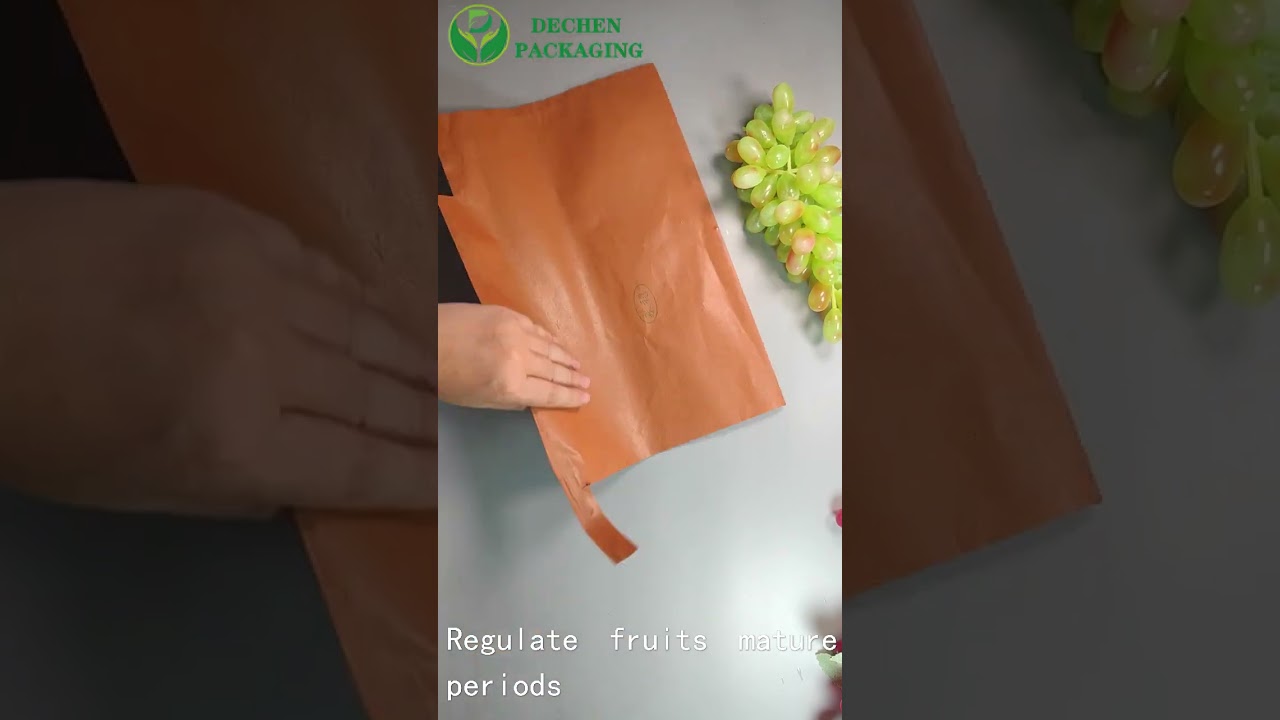 Grape Bag Fruit Bag Bag Mangoes Protection +8613583554035