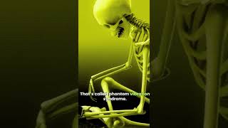 The Weird Reason Your Phone ‘Buzzes’ When It Doesn’t