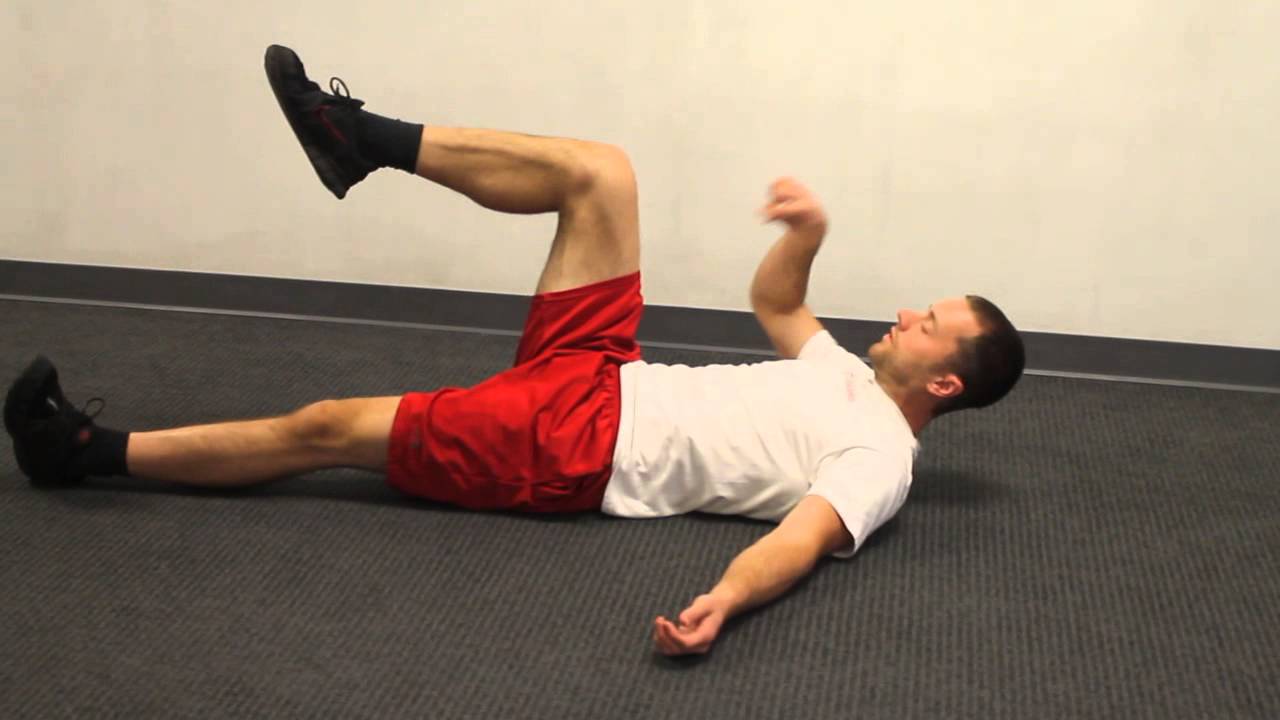 exercise 14.1 class 11 Lassos