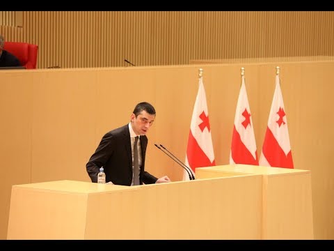 შინაგან საქმეთა მინისტრის გამოსვლა პარლამენტში