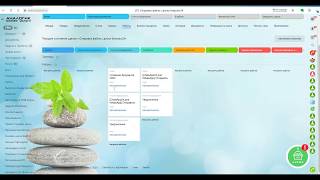 Робот отправки сообщения на WhatsApp в Битрикс24 screenshot 5