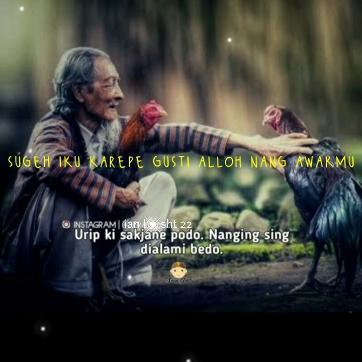 Cak Nun - ' Jangan memastikan kehidupan ' ||story wa 2020