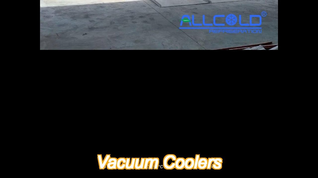 800kg vacuum cooler for button mushroom/cauliflower/broccoli leafy vegetables