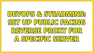 DevOps & SysAdmins: Set up public facing reverse proxy for a specific server