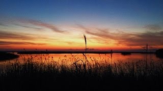 The Telling Tide