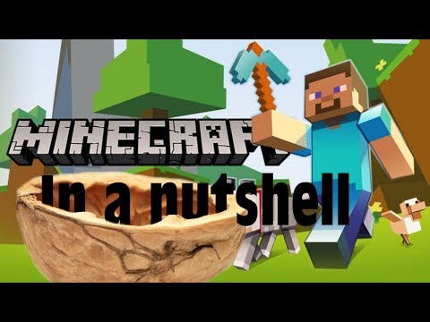 Minecraft in a nutshell