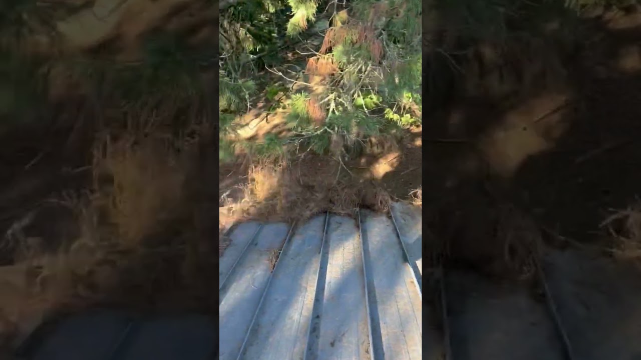 Roofing Service In Oregon This is how we clean