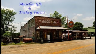 Musella, GA And Dickey Farms- A Quick Visit