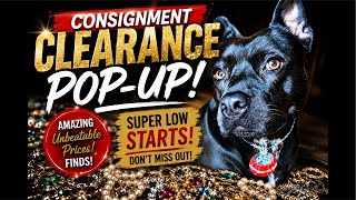 Consignment Clearance Sale Pop-Up!!  8pm EST/5pm PST