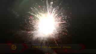 CGFP-130 (2) 2012