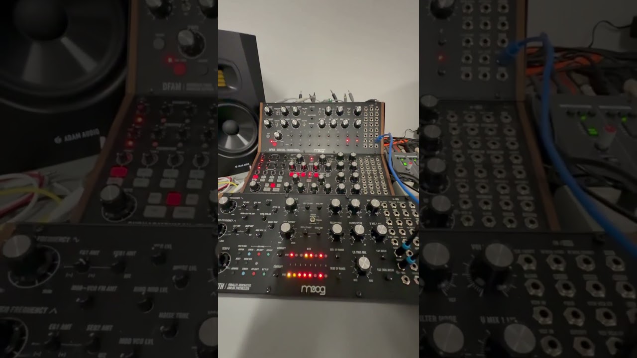 Quick loop idea with Moog DFAM and Labyrinth 