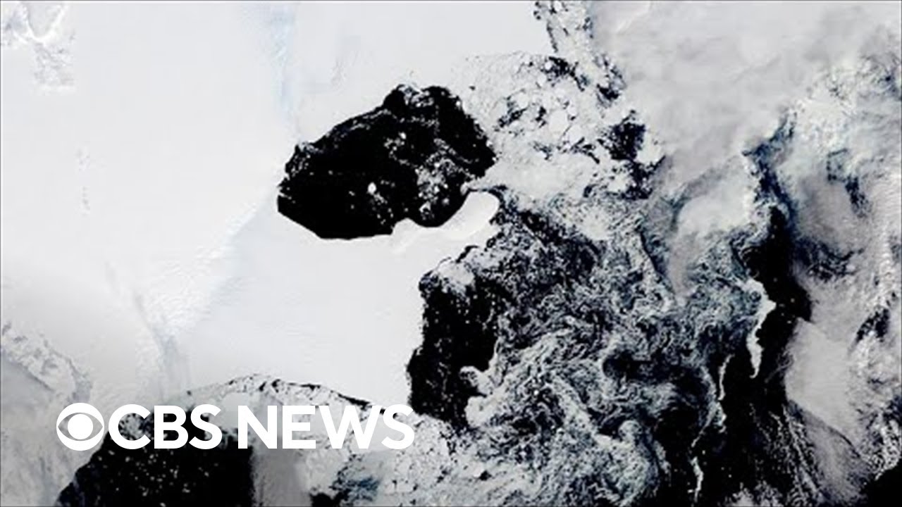 ⁣East Antarctica ice shelf larger than New York City collapses, worrying scientists