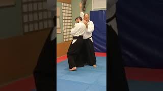 MEICHI RYU JUJUTSU