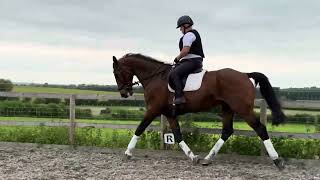 Roadstone Little Star Flatwork
