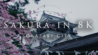 Sakura in 8K- Okazaki City- 8K桜映像-岡崎市-