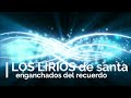 LOS LIRIOS de santa fe - enganchados del recuerdo