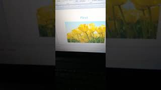Importing data from other Application in PowerPoint. Net Worth