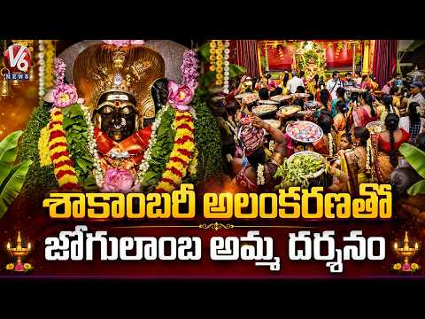 Goddess Jogulamba's Divine Darshan With Shakambari Decoration  |V6 News - V6NEWSTELUGU
