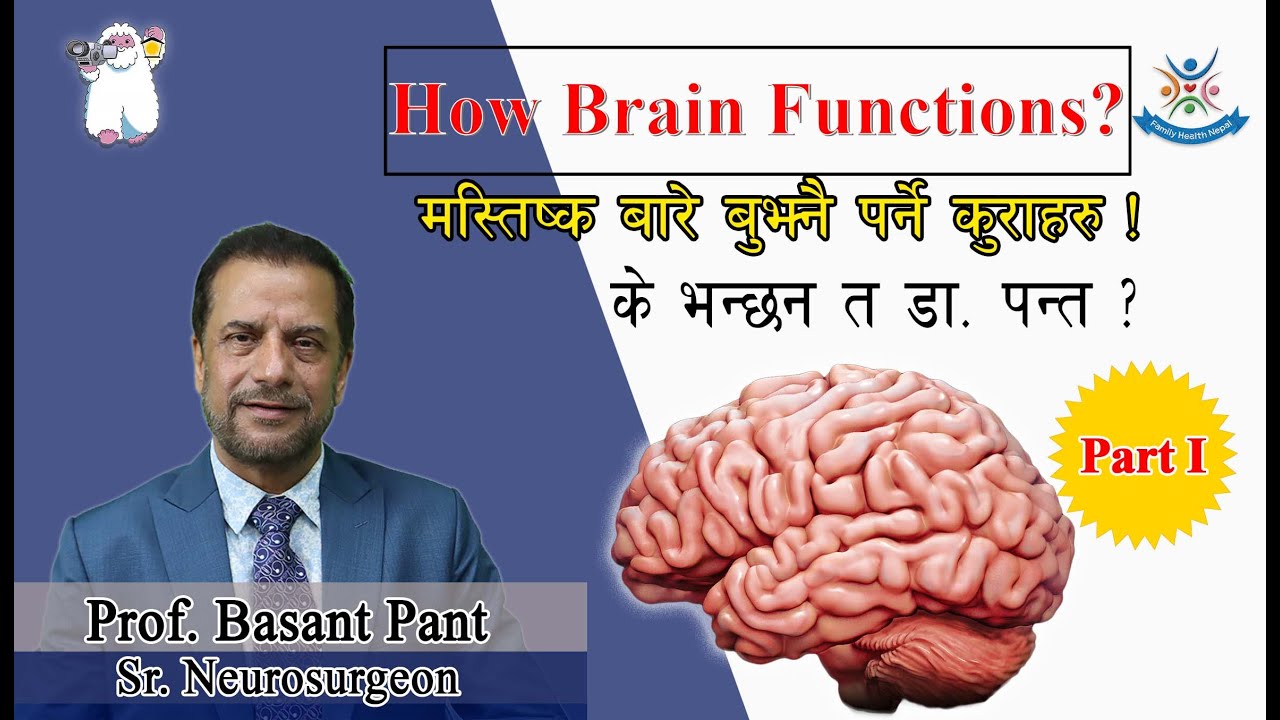 How Brain Functions? मस्तिष्क बारे बुझनै पर्ने कुराहरु ( के भन्छन् त डा.पन्त)