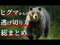 【決定版】ヒグマの餌にならない方法ランキング！