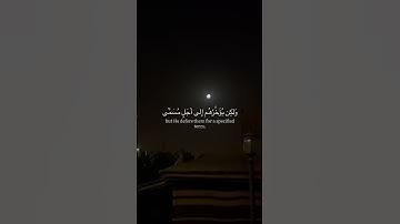 عبدالرحمن مسعد | سورة النحل