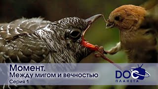 Момент - Фильм 1. Между мигом и вечностью - Документальный фильм