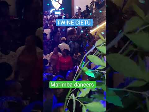 TWINE CIETŨ Movement At The Pin Hideout Meru The People S Movement 