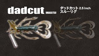 ダッドカットのスルーリグ水中動画