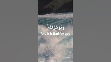 وَعَسَىٰ أَنْ تَكْرَهُوا شَيْئًا وَهُوَ خَيْرٌ لَكُمْ || القارئ مشاري راشد العفاسي
