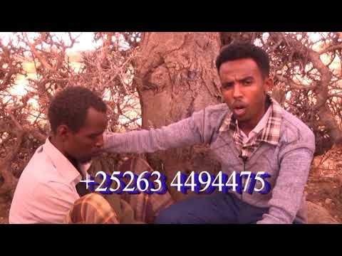Muuqaal Daa uud Siciid Awcismaan Oo Xaalkiisu Adag Yahay Iyo Jawaabta Soogaadhay Muxsiniinta