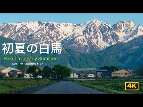 白馬の夏｜北アルプスの絶景と自然の音Hakuba Summer | Japanese Alps