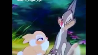 Celebrity الضحك Profile