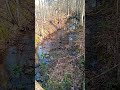 Ahhh peace and quiet with the frogs and a cat at my feet
