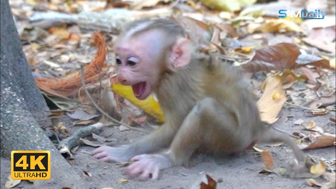 LOUY's Parenting Journey: Helping Baby Walk & Understand Feeding Time