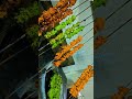 #Chicken#...... #tikka /............................................