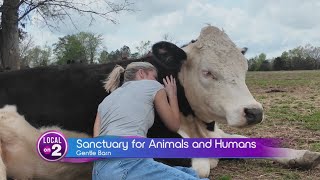 The Gentle Barn Inspiring Kindness And Compion