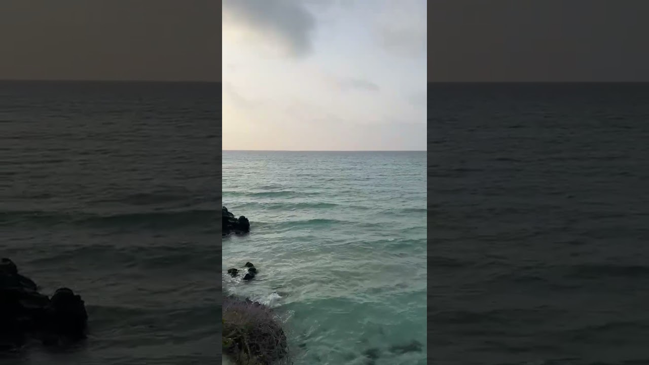 [제주여행] 함덕해수욕장 #shortfeed #shortvideo #shortsfeed #쇼츠 #shorts #short  #제주 #함덕해수욕장 #함덕 #제주도 #제주여행