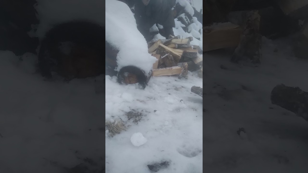 Рублю дрова на зиму первое видео в новом году 