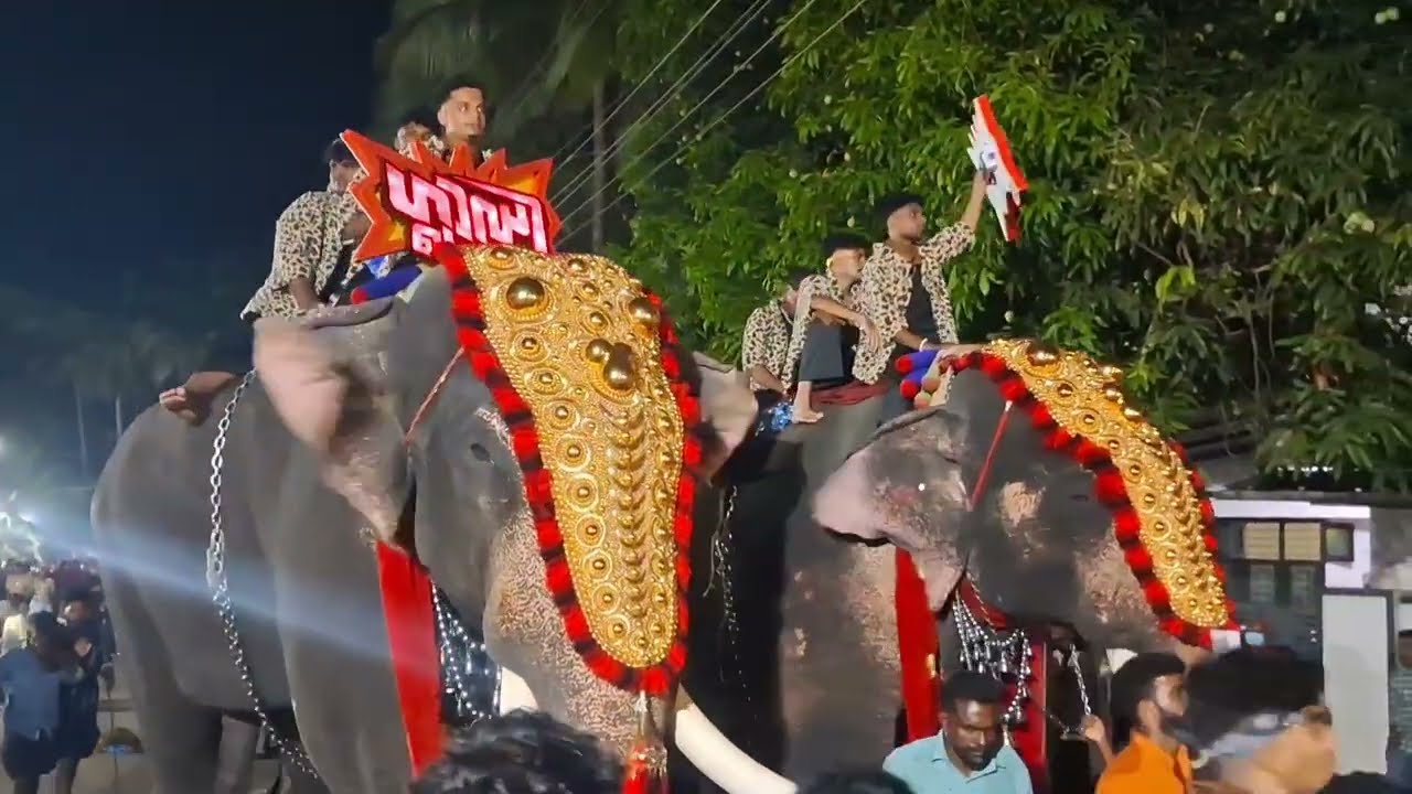 തൃത്താല ഫെസ്റ്റ് 2026